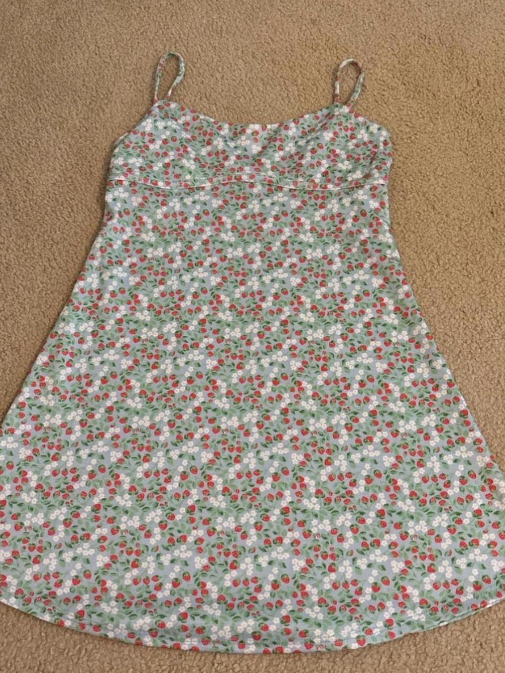 Altar'd State Light Blue Floral Top with Red Accents